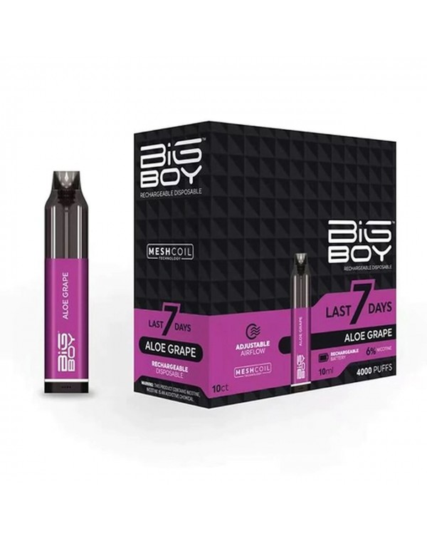 Big Boy Rechargeable Disposable 4000 Puffs 10mL